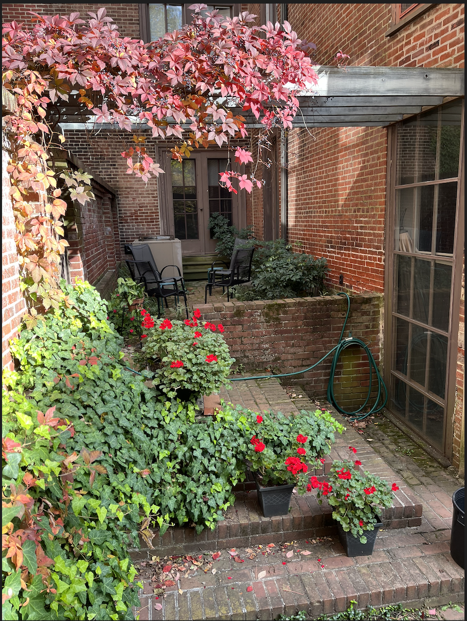 Brick courtyard with pergola, autumn vines and potted geraniums