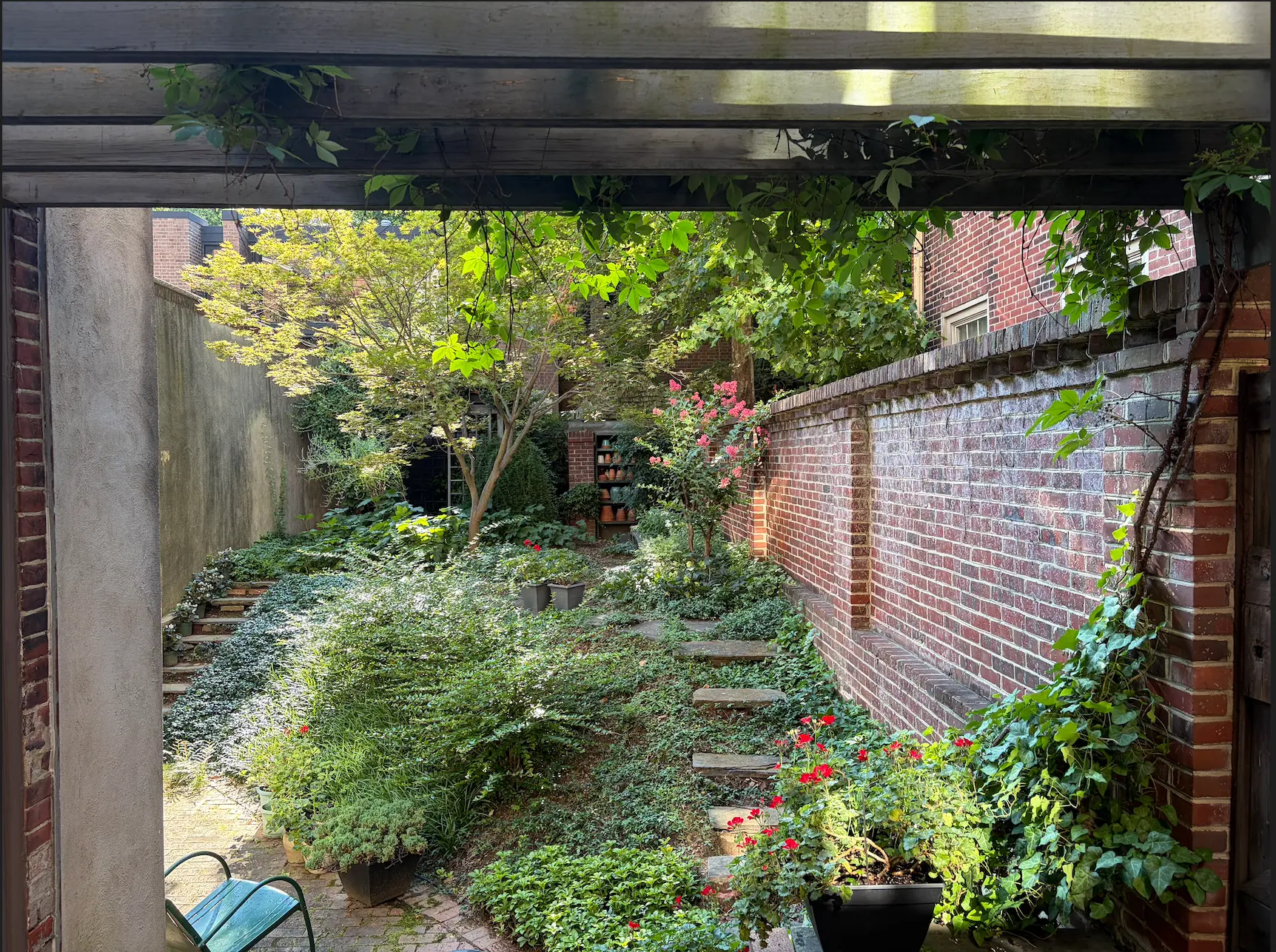 Walled garden with mature specimen trees, ivy and brick terracing